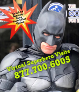 Superhero ZOOM Calls, Video Superhero Call