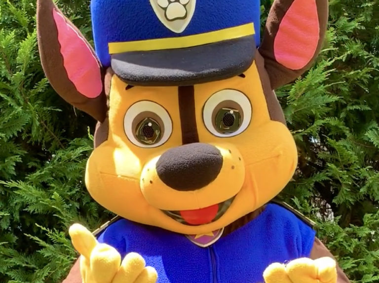 Virginia Birthday Party Characters, Hire a Princess, Rent Superhero