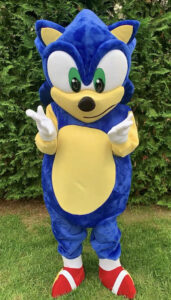 Hire Sonic for a Party